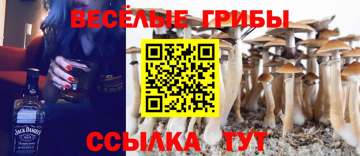 Галлюциногенные грибы Magic Shrooms Учалы