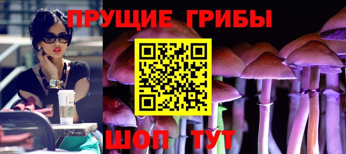Учалы  Псилоцибиновые грибы MAGIC MUSHROOMS  Вход с VPN 